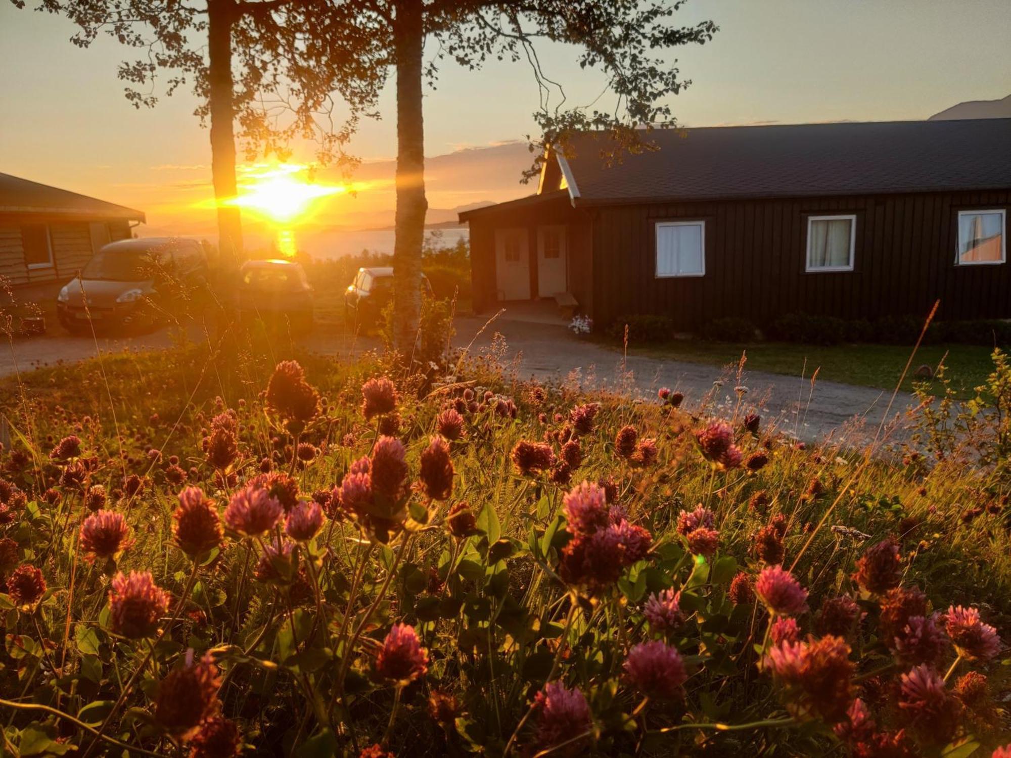 Vandrarhem Skoghus *